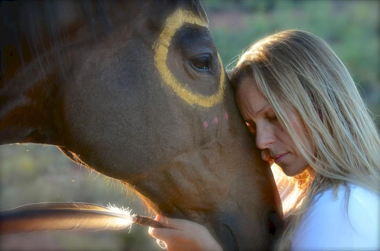 The Mountain Lion - Horses Sedona'S Most Loved מראה חיצוני תמונה